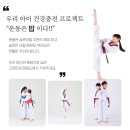 익스트림태권도