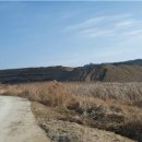 성곡리농로 이미지