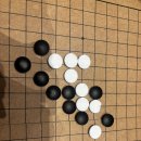 아름파출소앞 | [세종/아름동] 으뜸스시 세종아름점 :: 회전초밥 모든...신선함 모두 갖춘 세종 아름동 회전초밥 맛집 후기