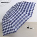 팔골 이미지