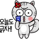 리즈모던 이미지
