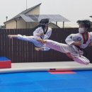 다올태권도 이미지