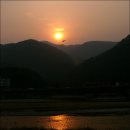 바람의노래 이미지