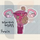 선근이네 | 자궁 하이푸 임신 가능성 알고 싶다면