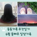 엘지전자양촌 | 주간일기 6월 둘째주 일상기록 / 젤패디 / 매직세팅펌