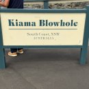 (주)중해인터내셔날 | 여자 혼자 호주 시드니 6박 8일 여행 | 5일차 로얄내셔널파크, 울릉공, 키아마 남부투어