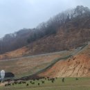 초원염소농장 이미지