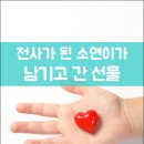 소연 이미지