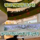 엄마는도슨트 | 수원 광교 가볼만한 곳 경기도서관 도슨트 후기 주차