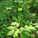 오늘도 보았습니다 이미지
