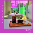 당진 장고항 카페 장고목 내돈내산 방문 후기