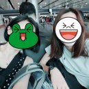 우진카랜드 이미지