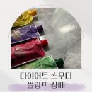 쁠랑뜨 샹떼로 건강하게 다이어트 스무디로 디톡스 했어요