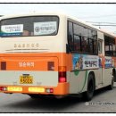 임순여객 이미지