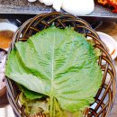 제주돌돗촌 이미지