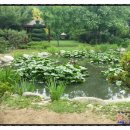 연희자연마당 공원 이미지