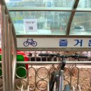 시카다(cicada) 이미지