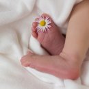 맘편한요양병원 이미지