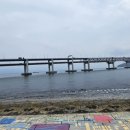 수영구청 이미지