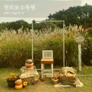 사철기사식당 | 천리포수목원/ 충남 태안 가볼만한 곳/ 천리포 수목원 억새/ 가을여행 가볼만 곳