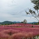 송포체육공원 네이버블로그