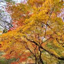 도봉산 만장봉&amp;만추 이미지