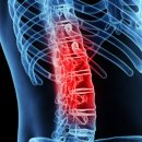 분당삼성정형외과의원 이미지