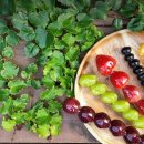 왕가탕후루 이미지