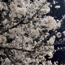 티스테이션 부개점 이미지