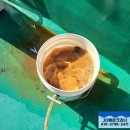 오패산로 네이버블로그