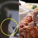 족발자리 - 홍성군 월산로30번길 24 | 족발자리