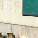 상수리식당 이미지