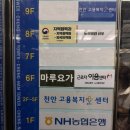 다이어트 요가 | 입문자 요가 성공기! 천안 성정동 &#39;마루요가&#39; 다이어트 후기