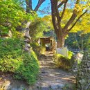 안정1길 이미지