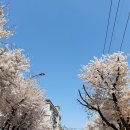 워시프렌즈 셀프빨래방 부천 원종동점 | 원종동빨래방 이지워시 셀프빨래방 부천원종점 이불세탁