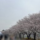 평택대학교 농구장