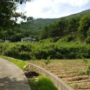 자천초등학교보현분교 이미지