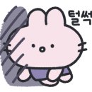 살롱 드 뷰티 이미지