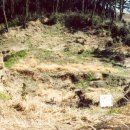 상모리-8 이미지