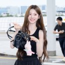 너도나도 이미지