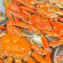 대게플러스 이미지