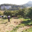 환산농장 이미지