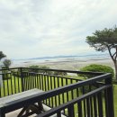 아라가온 | 감성 숙소 끝판왕! 태안 안면도 아라가온 펜션 내돈내산 솔직 리뷰