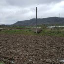 대견농장 이미지