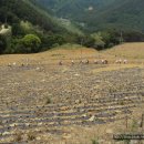 함백농장 이미지