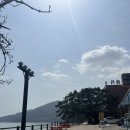 해성비치회맛집 | 거제몽돌맛집 학동 해성비치회맛집 모듬회 강추후기