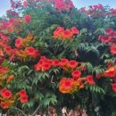 요지부동산공인중개사사무소 이미지