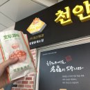 영춘원식당 | 아기와 군산여행 :: 군산 고추짬뽕, 고추짜장이 유명한 지린성, 첫 짜장면을 맛봤어요! (feat. 군산맛집...