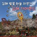 가야미니슈퍼 | 🇰🇷김해 가야 랜드 벚꽃 하늘 자전거 실시간 후기 및 사진 꿀팁