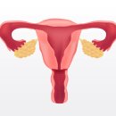 순백의원 이미지